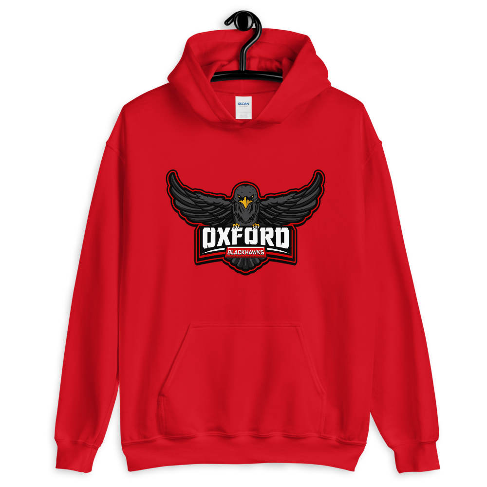 Blackhawks 2020 Logo Hoodie